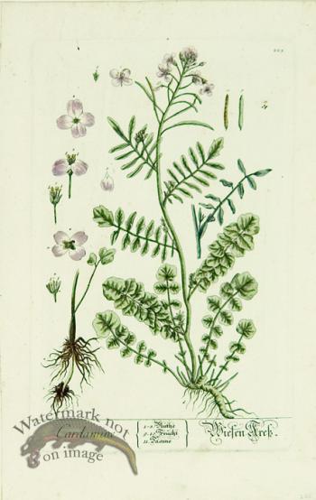 Blackwell German 061